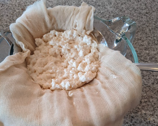 Screenshot 2023-03-29 at 12.31.50 PM.png